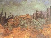 Vincent Van Gogh Wooden Sheds (nn04) France oil painting artist